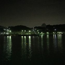 豆アジ 夜サビキ
