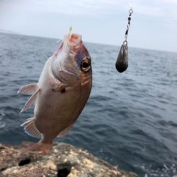 まさかのタイ参上♪