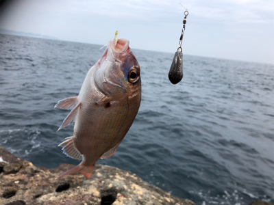 まさかのタイ参上♪