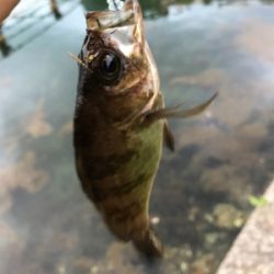 NO.9 夕、夜の部