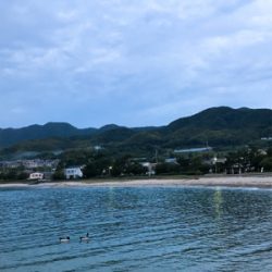 チョイ投げでキス