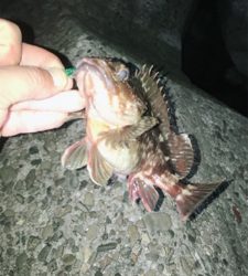 爆風にお手上げ