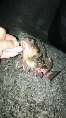 爆風にお手上げ