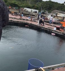 じゃのひれフィッシングパーク