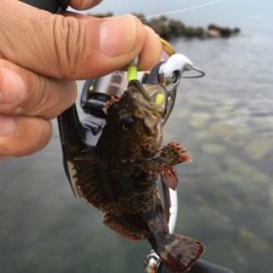 チビガシラ祭り