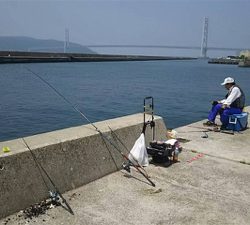 ガシラ アイナメ 五目釣り