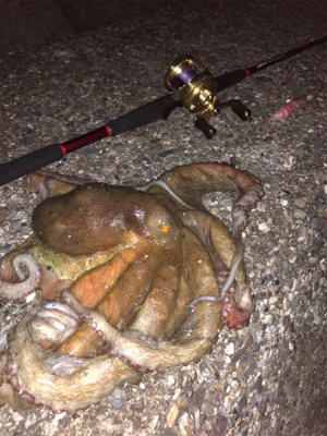 オクトパッシング