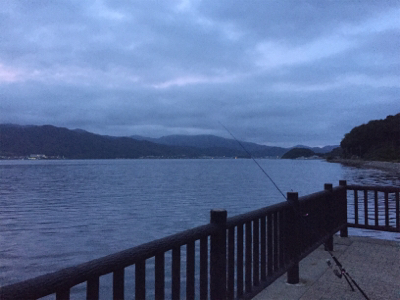 ヒラメ釣れました