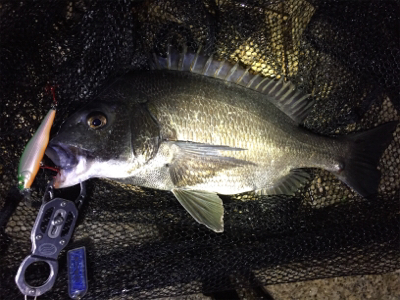 奇跡の淀川五目