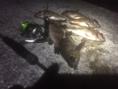 メバちゃん夏バテ？