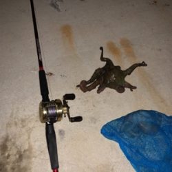 オクトパッシング