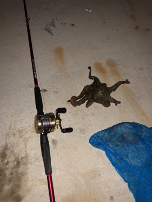 オクトパッシング