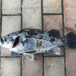 飲み会からの徹夜で3本