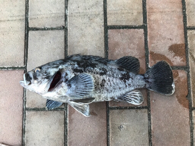 飲み会からの徹夜で3本