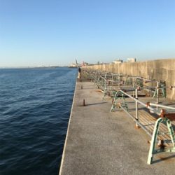 やっぱり釣りは楽しい！