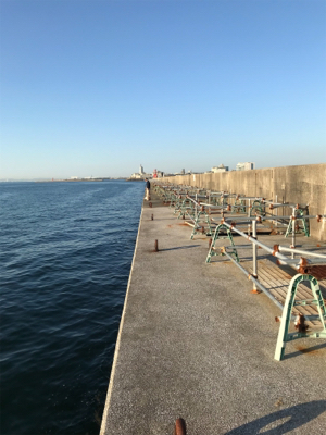 やっぱり釣りは楽しい！