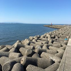 チョイ投げキス釣り