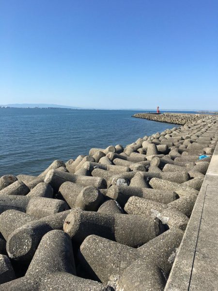 チョイ投げキス釣り