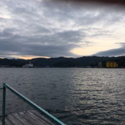 夕方まで粘ってやっと