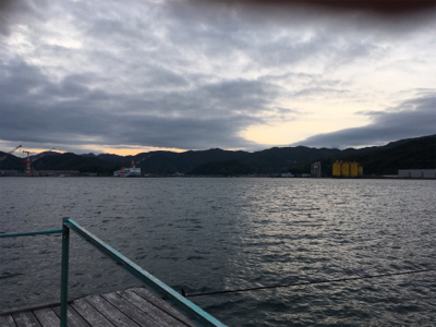 夕方まで粘ってやっと