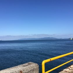 ビックバッカー、みんなエソばっかー!