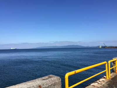 ビックバッカー、みんなエソばっかー!