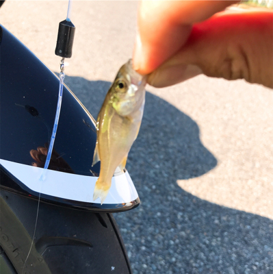 神戸東側ではまだ早い？！