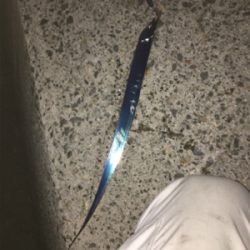 親父たちの釣行 舞鶴第3弾‼️