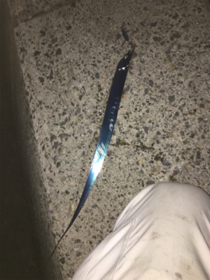 親父たちの釣行 舞鶴第3弾‼…