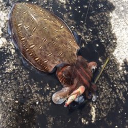 デイエギング☆GUNNING-STYLEメンバー