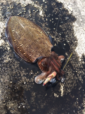 デイエギング☆GUNNING-STYLEメ…