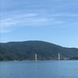 細いんですが…