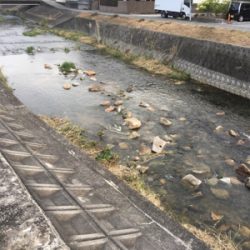 今日も仕事帰りに少しナマズゲーム