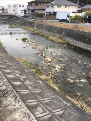 今日も仕事帰りに少しナマズゲーム