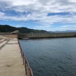 オクトパッシング