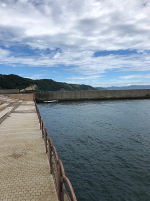 オクトパッシング