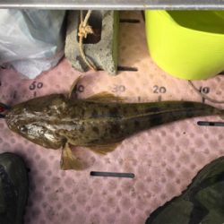 マイボートでタイラバ