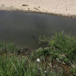 朝一地震前に爆釣