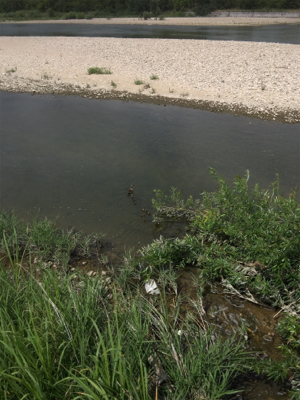朝一地震前に爆釣