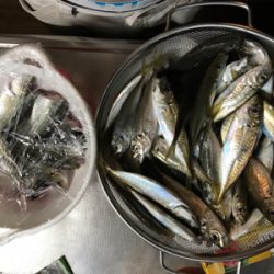 24時間アジング