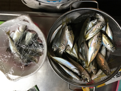 24時間アジング