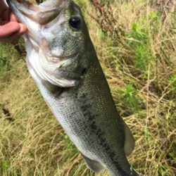 初五名ダムその他もろもろ