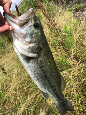 初五名ダムその他もろもろ