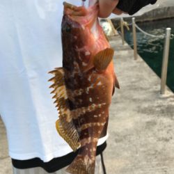 エギングのつもりが…。