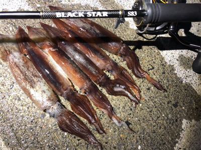 ライトゲームのちイカ