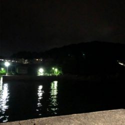 小雨の中アジング