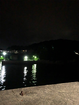 小雨の中アジング