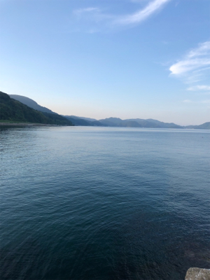 ライトゲーム ロックフィッシュ