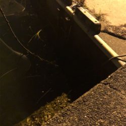 メバル釣れました