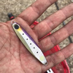 太陽に吠えろ、ザ、デイシーバス